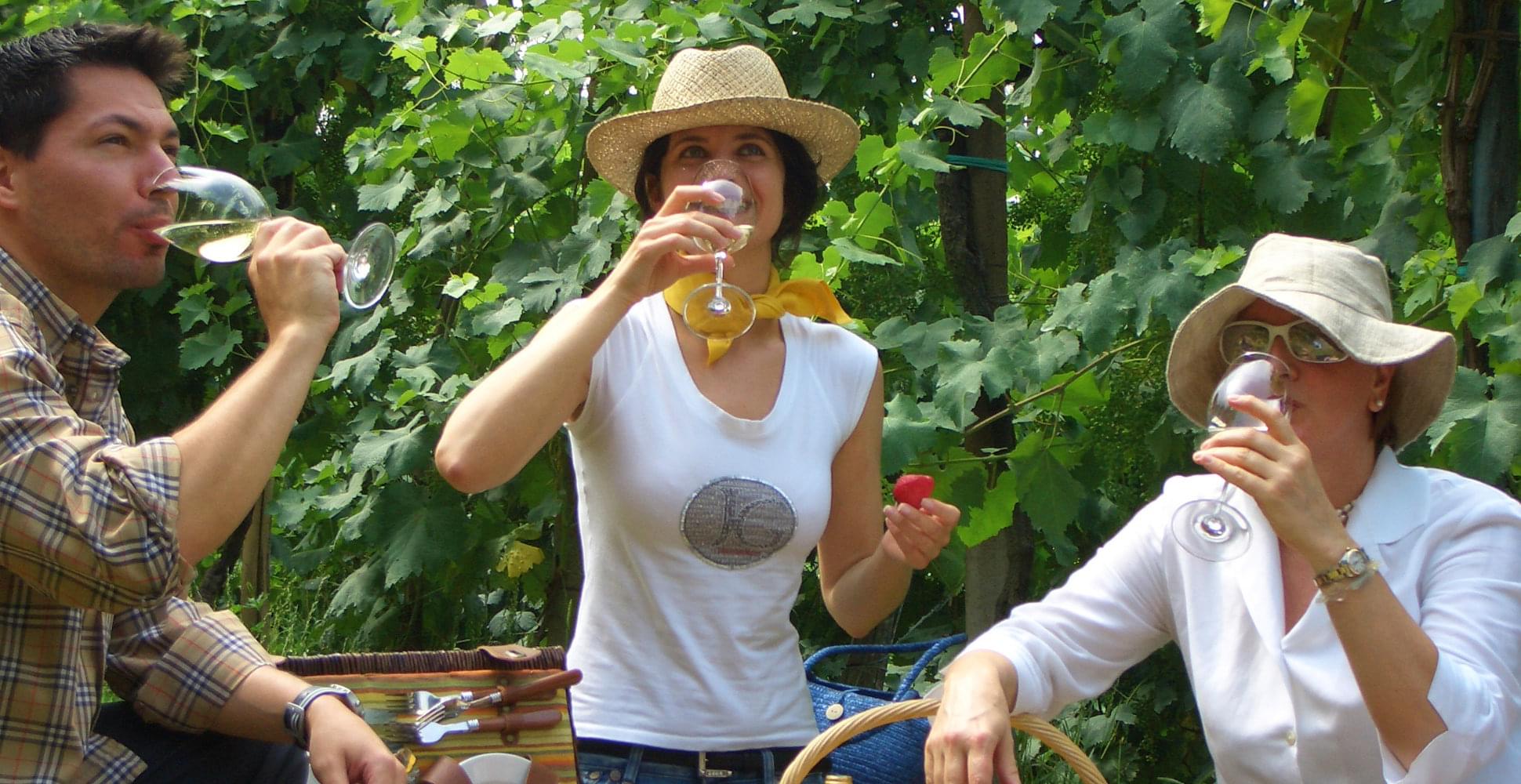 Traditional Ladin territory